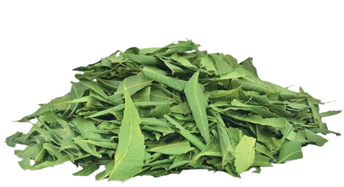 Neem Leaves